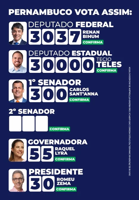 Como votar na chapa